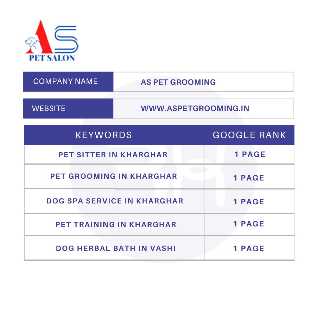 SEO Services In Dwarka Mor